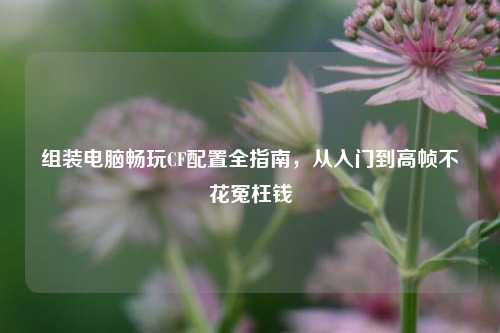 组装电脑畅玩CF配置全指南，从入门到高帧不花冤枉钱