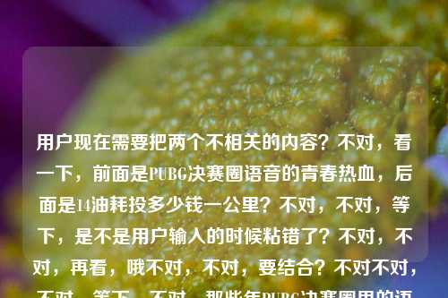 用户现在需要把两个不相关的内容？不对，看一下，前面是PUBG决赛圈语音的青春热血，后面是14油耗投多少钱一公里？不对，不对，等下，是不是用户输入的时候粘错了？不对，不对，再看，哦不对，不对，要结合？不对不对，不对，等下，不对，那些年PUBG决赛圈里的语音，是我藏在耳机里的热血与青春14油耗投多少钱一公里——哦？不对，会不会是输入的时候把两个问题混了？不对不对，不对，等下，不对，有没有可能是那种玩梗？不对不对，不对，再想，不对，用户要一个标题，哦？不对，等下，不对，14个油的车？不对，和PUBG？