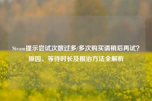 Steam提示尝试次数过多/多次购买请稍后再试？原因、等待时长及根治方法全解析