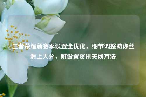 王者荣耀新赛季设置全优化,细节调整助你丝滑上大分,附设置资讯关闭方法