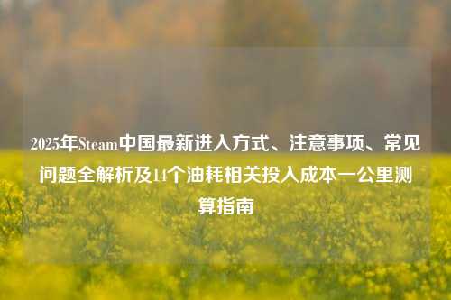 2025年Steam中国最新进入方式、注意事项、常见问题全解析及14个油耗相关投入成本一公里测算指南
