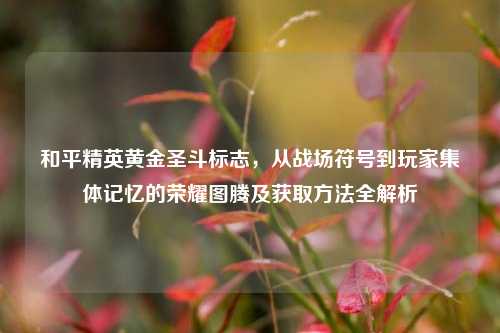 和平精英黄金圣斗标志,从战场符号到玩家集体记忆的荣耀图腾及获取方法全解析
