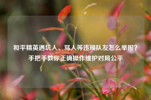 和平精英遇坑人、骂人等违规队友怎么举报?手把手教你正确操作维护对局公平
