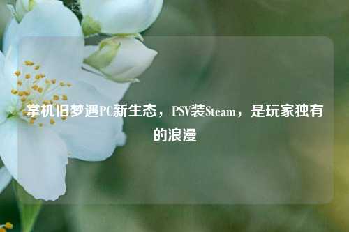 掌机旧梦遇PC新生态，PSV装Steam，是玩家独有的浪漫