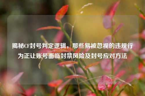 揭秘CF封号判定逻辑，那些易被忽视的违规行为正让账号面临封禁风险及封号应对方法