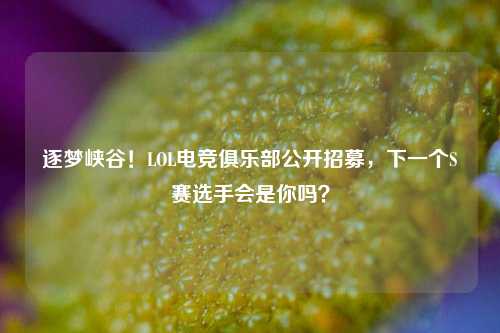 逐梦峡谷！LOL电竞俱乐部公开招募，下一个S赛选手会是你吗？