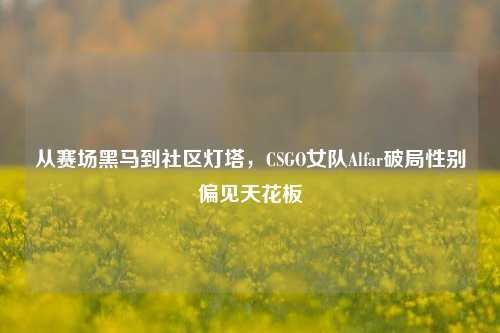 从赛场黑马到社区灯塔，CSGO女队Alfar破局性别偏见天花板