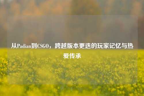 从Padian到CSGO,跨越版本更迭的玩家记忆与热爱传承