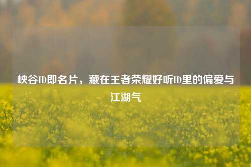 峡谷ID即名片,藏在王者荣耀好听ID里的偏爱与江湖气
