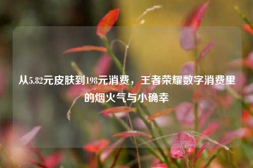 从5.82元皮肤到198元消费，王者荣耀数字消费里的烟火气与小确幸