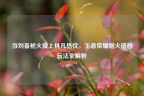 当刘备枪火撞上林凡热忱，王者荣耀烟火搭档玩法全解析