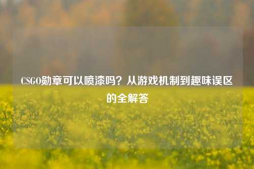 CSGO勋章可以喷漆吗？从游戏机制到趣味误区的全解答