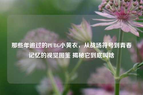 那些年追过的PUBG小黄衣，从战场符号到青春记忆的视觉图鉴 揭秘它到底叫啥