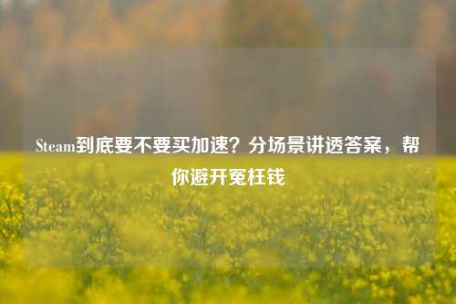 Steam到底要不要买加速？分场景讲透答案，帮你避开冤枉钱