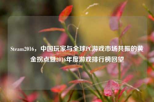 Steam2016，中国玩家与全球PC游戏市场共振的黄金拐点暨2016年度游戏排行榜回望