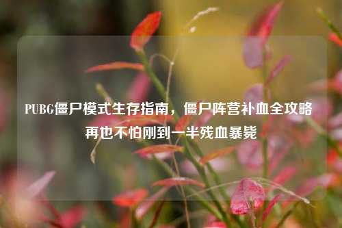 PUBG僵尸模式生存指南，僵尸阵营补血全攻略 再也不怕刚到一半残血暴毙