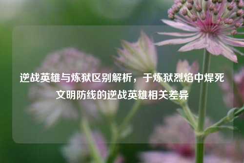 逆战英雄与炼狱区别解析，于炼狱烈焰中焊死文明防线的逆战英雄相关差异