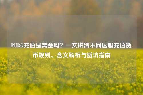 PUBG充值是美金吗？一文讲清不同区服充值货币规则、含义解析与避坑指南