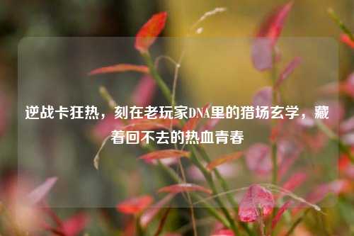 逆战卡狂热，刻在老玩家DNA里的猎场玄学，藏着回不去的热血青春