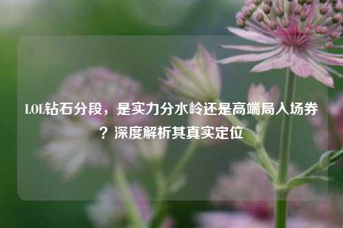 LOL钻石分段，是实力分水岭还是高端局入场券？深度解析其真实定位