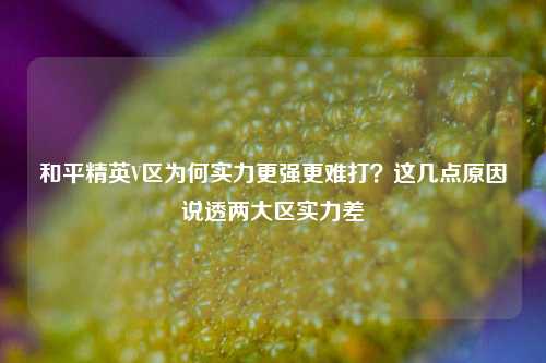 和平精英V区为何实力更强更难打?这几点原因说透两大区实力差