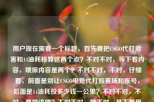 用户现在需要一个标题，首先要把CSGO代打危害和14油耗核算这两个点？不对不对，等下看内容，哦原内容是两个？不对不对，不对，仔细看，前面是别让CSGO电竞代打毁赛场和账号，后面是14油耗投多少钱一公里？不对不对，不对，要把这俩？不对不对，哦不对，是不是用户给的内容是这两个要素？不对不对，等下不对，哦不对，不对，要准确？不对不对，等下，不对，哦不对，会不会是？不对，等下要求是1个标题，涵盖？不对不对，等下再看，别让CSGO电竞代打，毁掉你热爱的赛场与账号14油耗投多少钱一公里——哦，不对，这俩是放