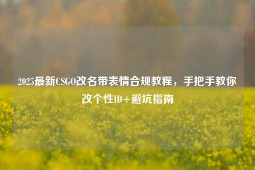 2025最新CSGO改名带表情合规教程，手把手教你改个性ID+避坑指南