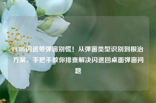 PUBG闪退带弹窗别慌！从弹窗类型识别到根治方案，手把手教你排查解决闪退回桌面弹窗问题