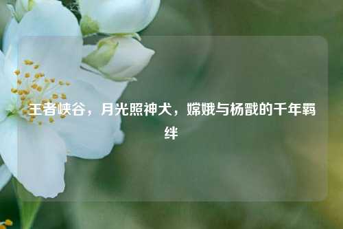 王者峡谷，月光照神犬，嫦娥与杨戬的千年羁绊
