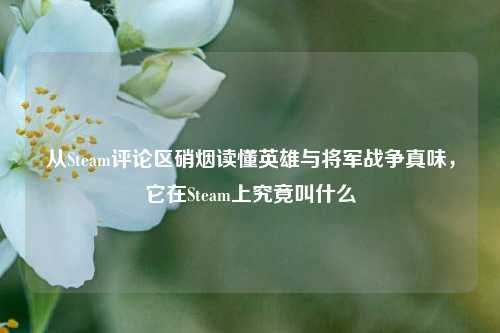 从Steam评论区硝烟读懂英雄与将军战争真味，它在Steam上究竟叫什么