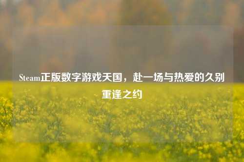 Steam正版数字游戏天国，赴一场与热爱的久别重逢之约