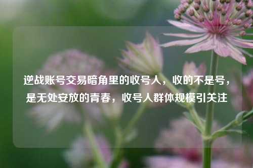 逆战账号交易暗角里的收号人，收的不是号，是无处安放的青春，收号人群体规模引关注