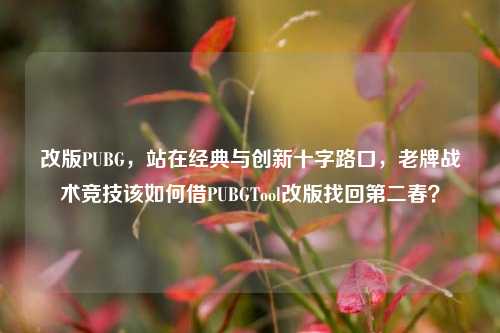 改版PUBG，站在经典与创新十字路口，老牌战术竞技该如何借PUBGTool改版找回第二春？