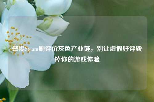 警惕Steam刷评价灰色产业链，别让虚假好评毁掉你的游戏体验