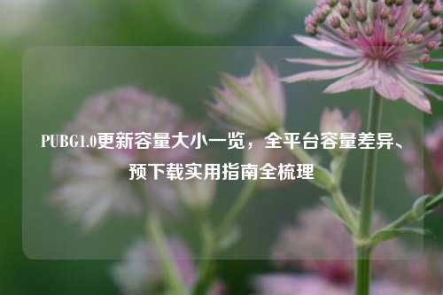 PUBG1.0更新容量大小一览，全平台容量差异、预下载实用指南全梳理