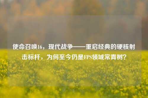 使命召唤16，现代战争——重启经典的硬核射击标杆，为何至今仍是FPS领域常青树？