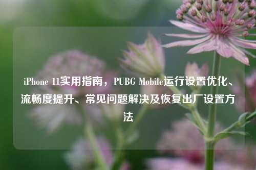 iPhone 11实用指南，PUBG Mobile运行设置优化、流畅度提升、常见问题解决及恢复出厂设置方法