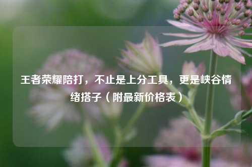王者荣耀陪打，不止是上分工具，更是峡谷情绪搭子（附最新价格表）