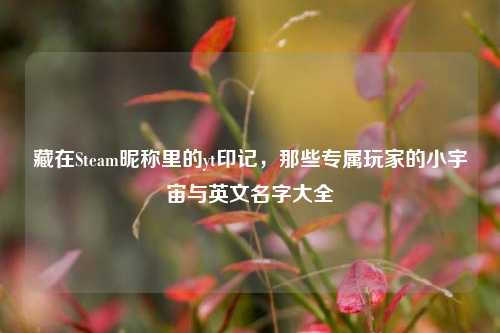 藏在Steam昵称里的yt印记，那些专属玩家的小宇宙与英文名字大全