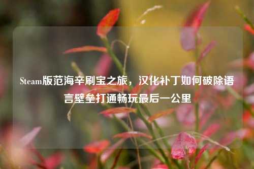 Steam版范海辛刷宝之旅，汉化补丁如何破除语言壁垒打通畅玩最后一公里
