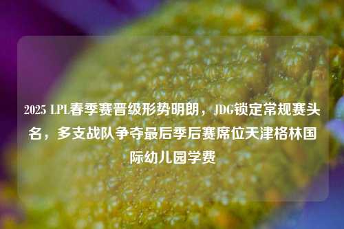 2025 LPL春季赛晋级形势明朗，JDG锁定常规赛头名，多支战队争夺最后季后赛席位天津格林国际幼儿园学费