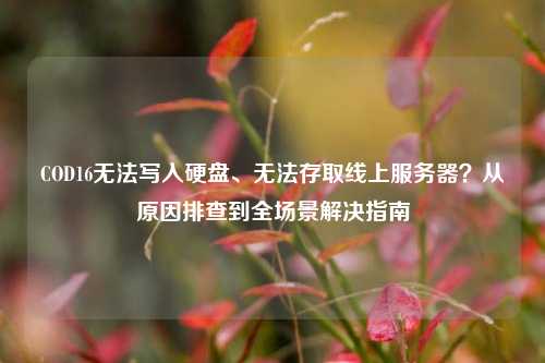 COD16无法写入硬盘、无法存取线上服务器？从原因排查到全场景解决指南