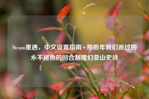 Steam重遇，中文设置指南+那些年我们追过的永不褪色的回合制魔幻亚山史诗