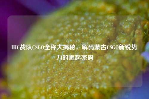 IHC战队CSGO全称大揭秘，解码蒙古CSGO新锐势力的崛起密码