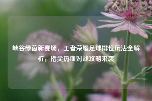 峡谷绿茵新赛场，王者荣耀足球排位玩法全解析，指尖热血对战攻略来袭