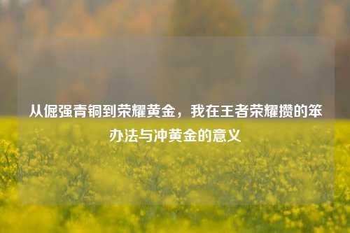 从倔强青铜到荣耀黄金，我在王者荣耀攒的笨办法与冲黄金的意义