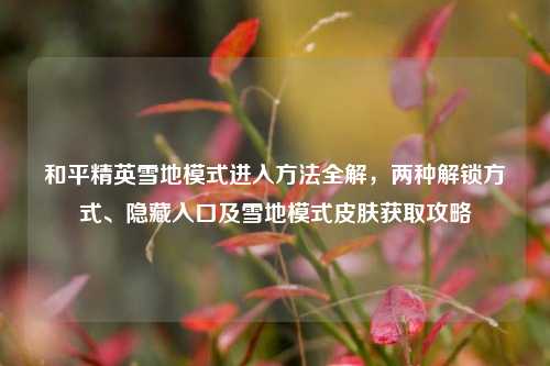 和平精英雪地模式进入方法全解，两种解锁方式、隐藏入口及雪地模式皮肤获取攻略