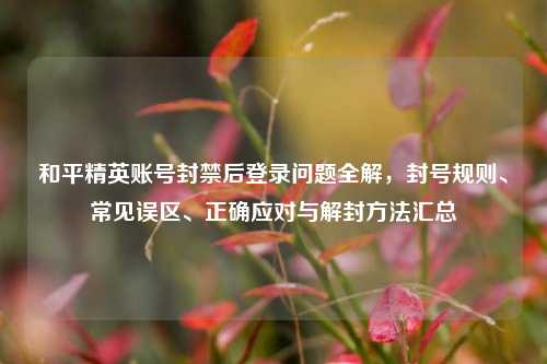 和平精英账号封禁后登录问题全解，封号规则、常见误区、正确应对与解封方法汇总