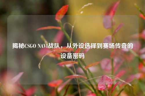 揭秘CSGO NAVI战队，从外设选择到赛场传奇的设备密码