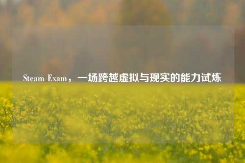 Steam Exam，一场跨越虚拟与现实的能力试炼